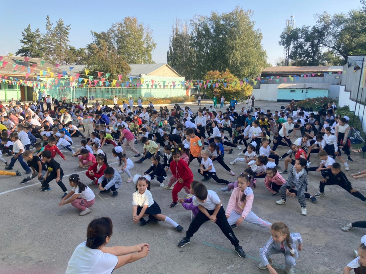 Денсаулық фестивалі