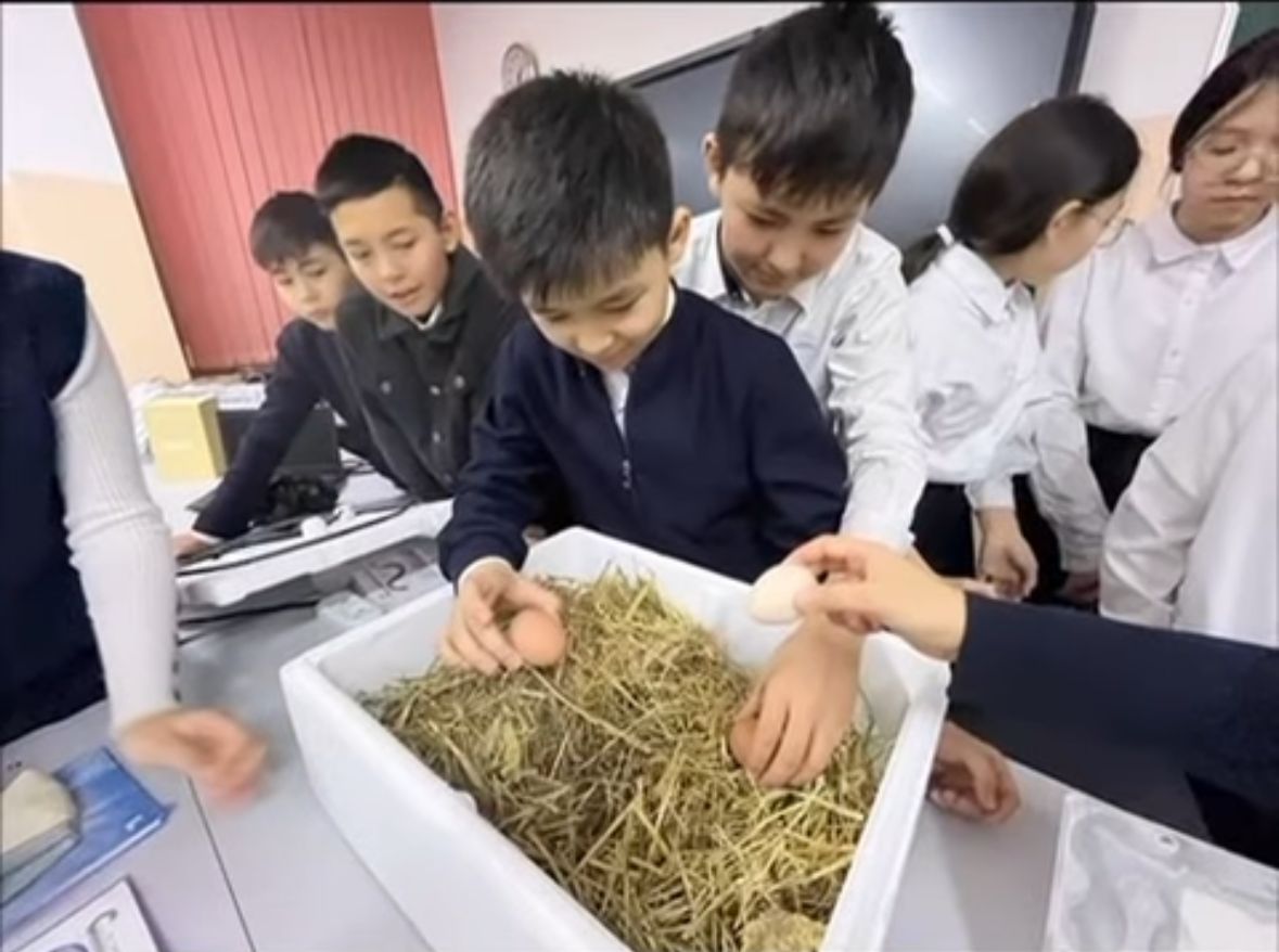 #біртұтас_тәрбие  "Эковолонтер" жобасы аясында "Ағзалардың көбеюі мен дамуы" зерттеу сабағы